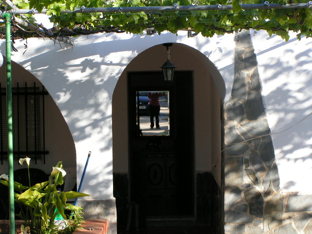 Itaca en el espejo